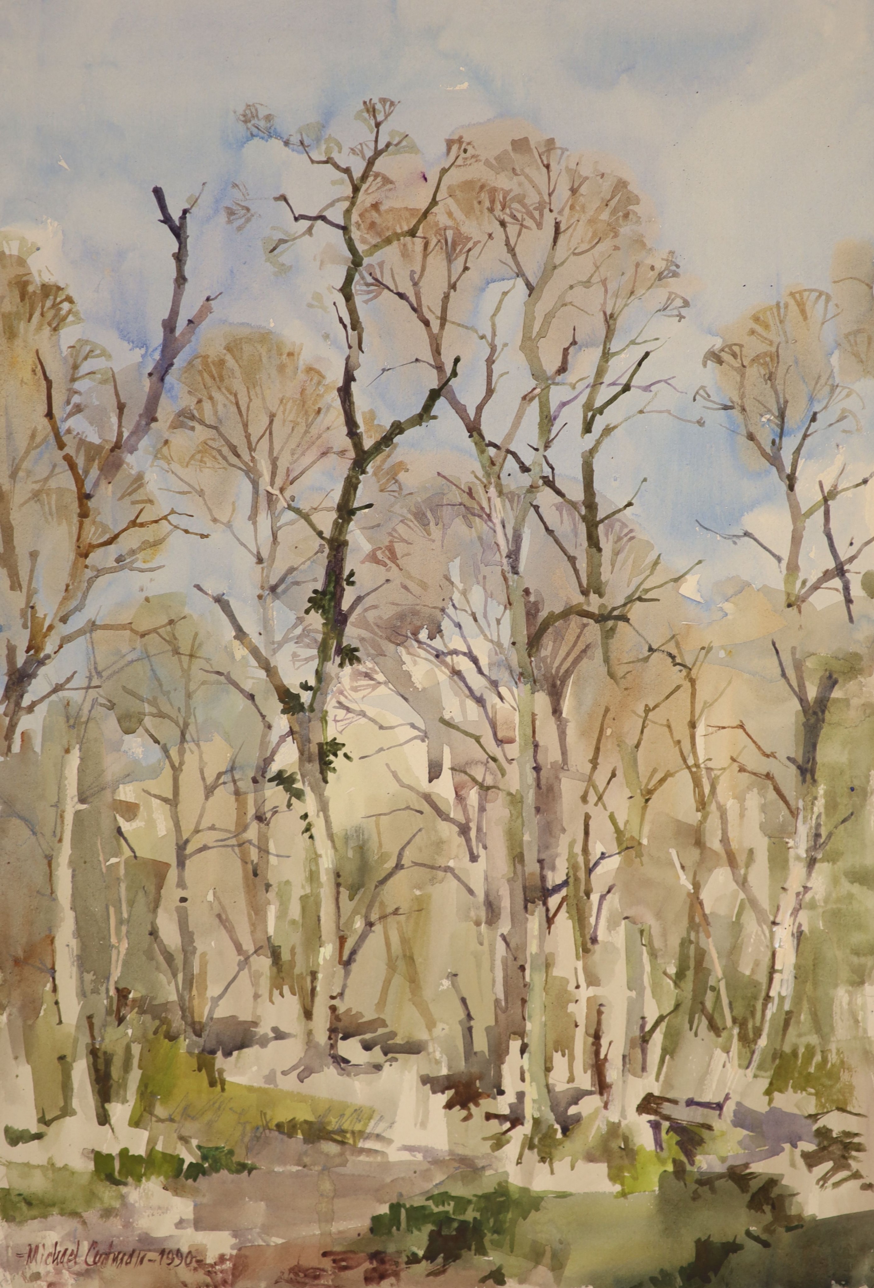 Michael Lawrence Cadman (1920-2010), small group of unframed watercolours, Botanical studies, largest 78 x 58cm